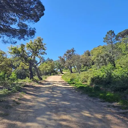 Holiday home Californien Climatise 6 Personnes Dans Domaine Prive Arbore A Gassin
